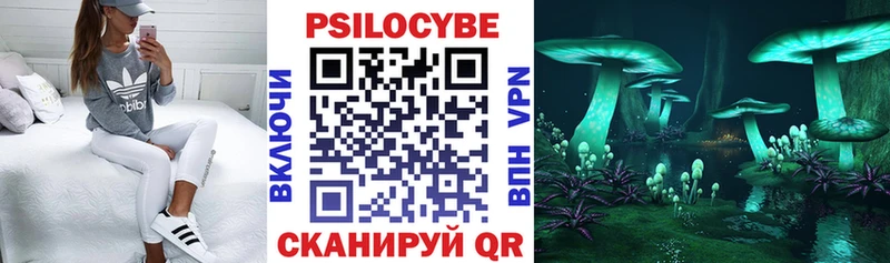 Псилоцибиновые грибы GOLDEN TEACHER  darknet наркотические препараты  Палласовка 