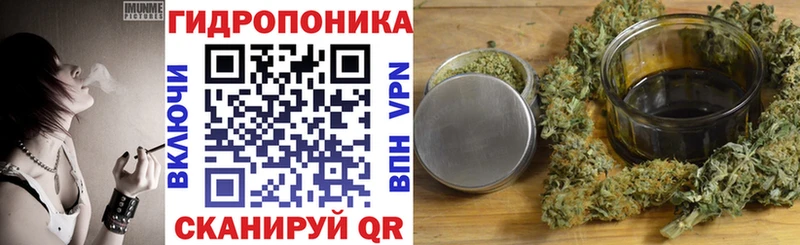 Бошки марихуана марихуана  Палласовка 